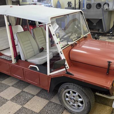 Mini Moke Capa